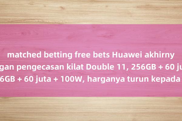 matched betting free bets Huawei akhirnya berkompromi dengan pengecasan kilat Double 11, 256GB + 60 juta + 100W, harganya turun kepada 2,409 yuan